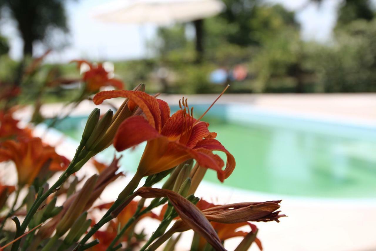 Agriturismo Ca' Alleata Каорле Экстерьер фото